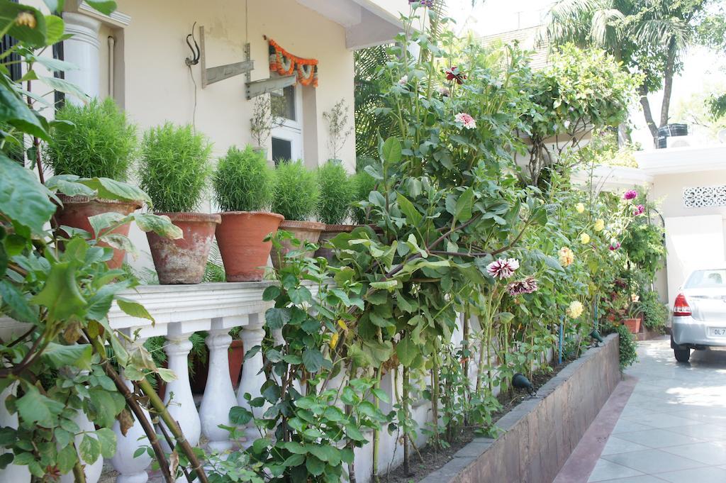 Sirohi House 新德里 外观 照片