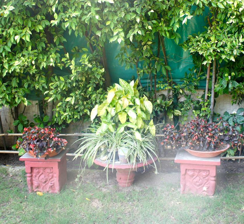 Sirohi House 新德里 外观 照片