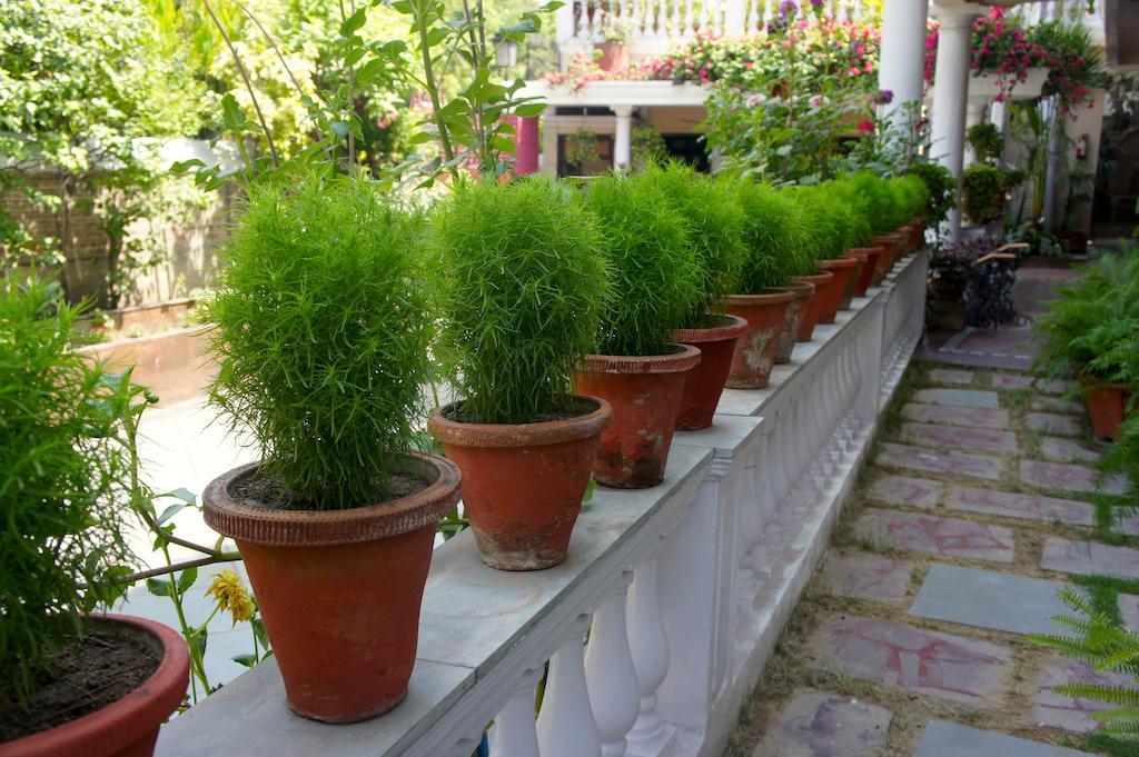 Sirohi House 新德里 外观 照片