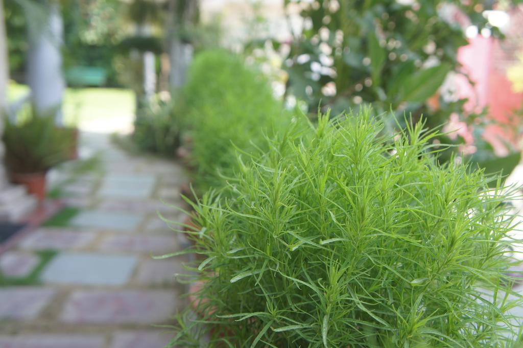 Sirohi House 新德里 外观 照片